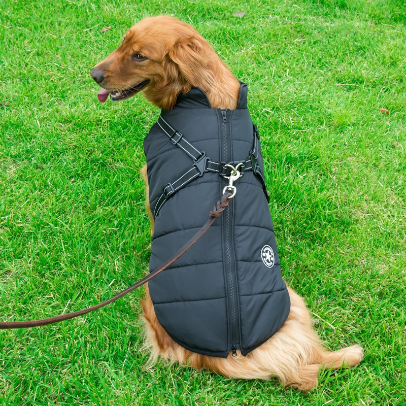 Chest Back Integrated Dog Winter Clothes