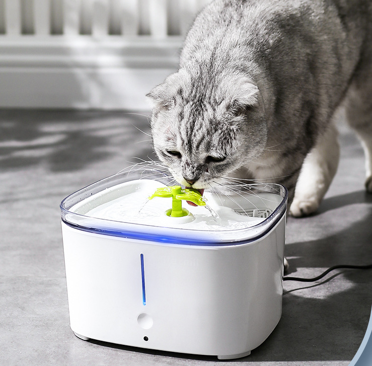 Large-capacity Anti-dry-burning Drinking Fountain For Pets