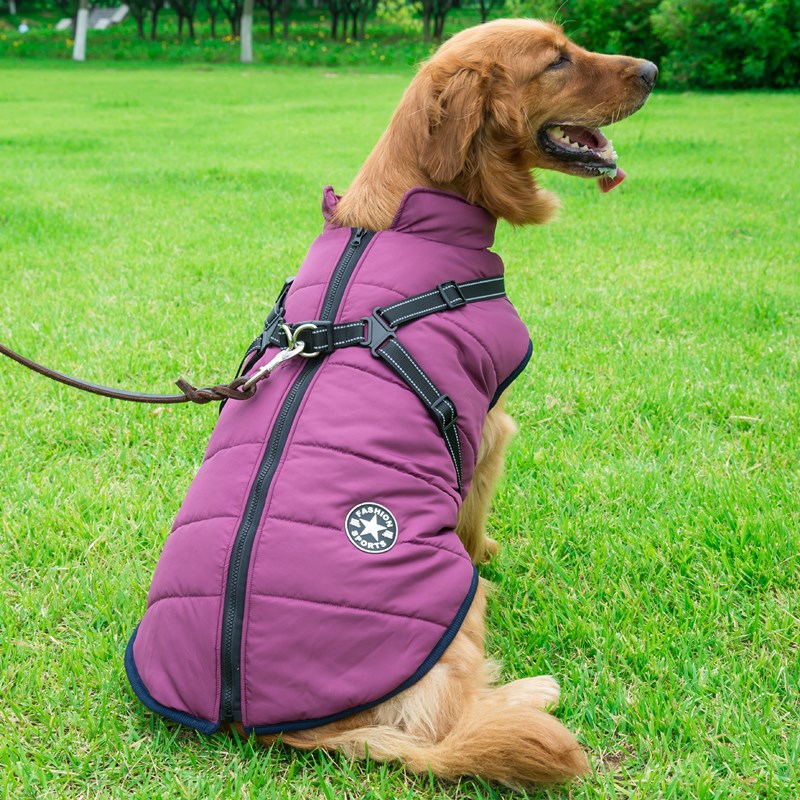 Chest Back Integrated Dog Winter Clothes