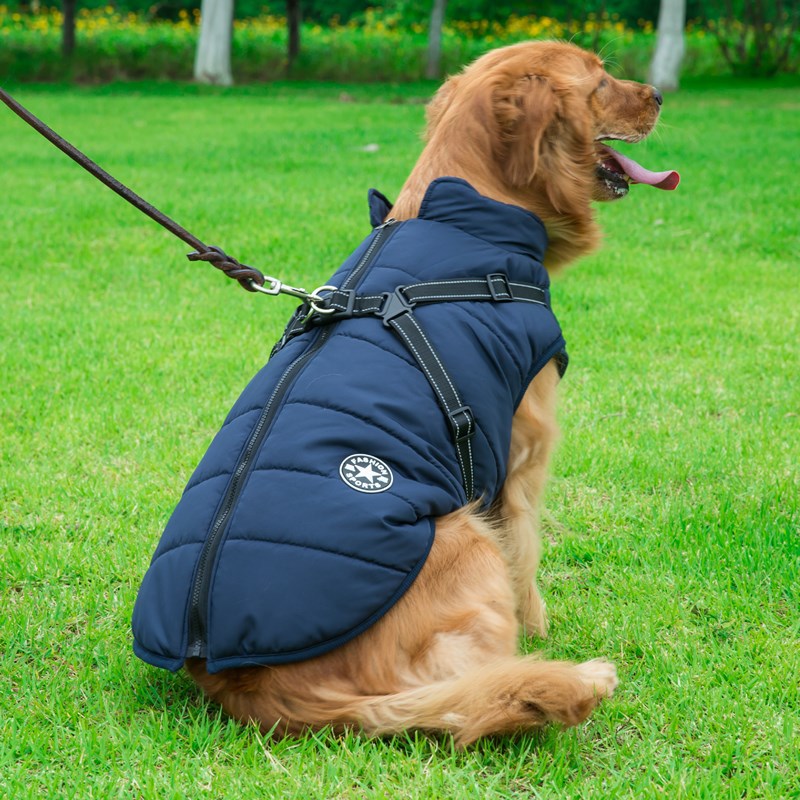 Chest Back Integrated Dog Winter Clothes